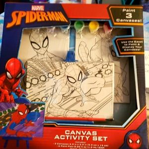 Spiderman Canvas Activity Set